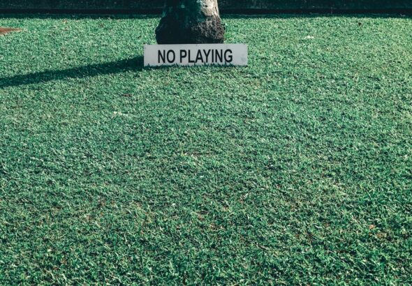 Photo ne-o