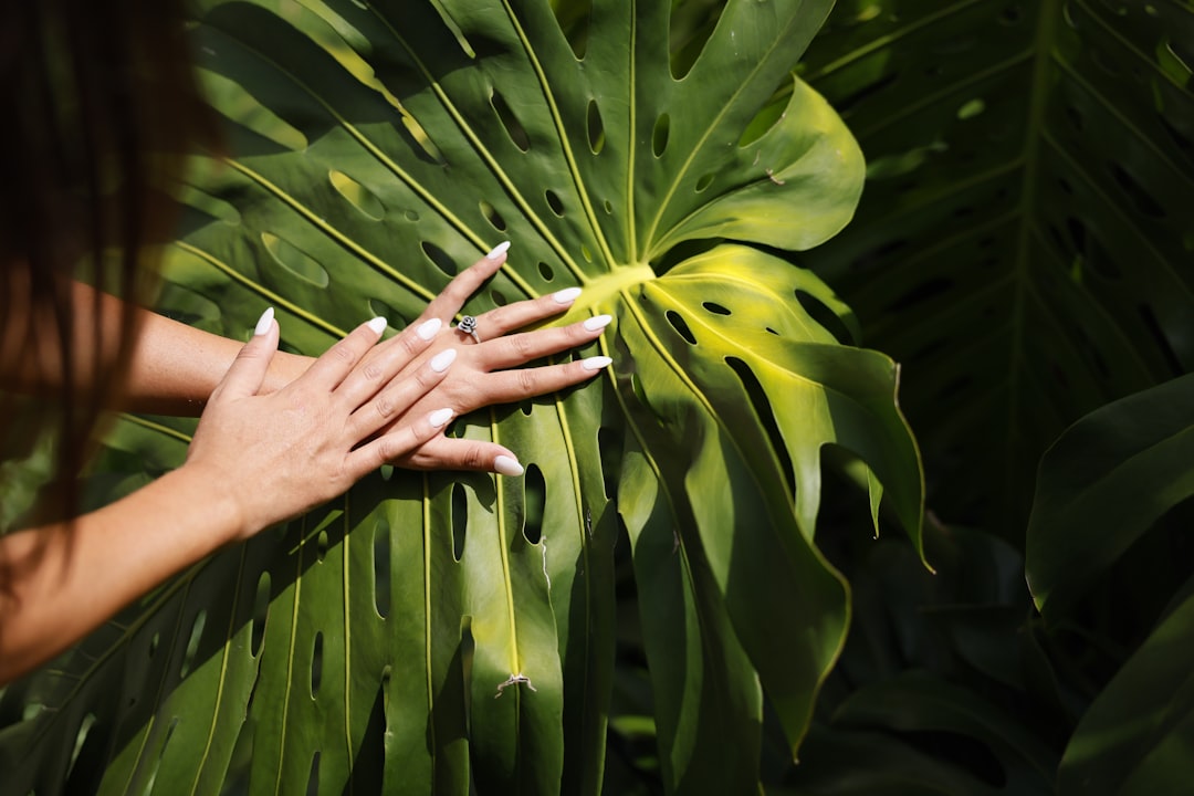 Photo itchy palm