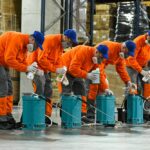 3-DDDNord - dezinsectie