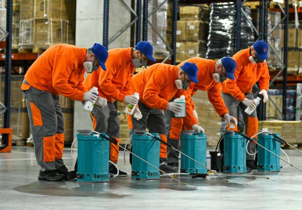 3-DDDNord - dezinsectie