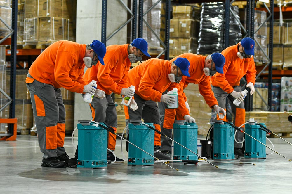 3-DDDNord - dezinsectie