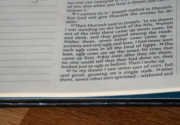 Photo dream interpretation