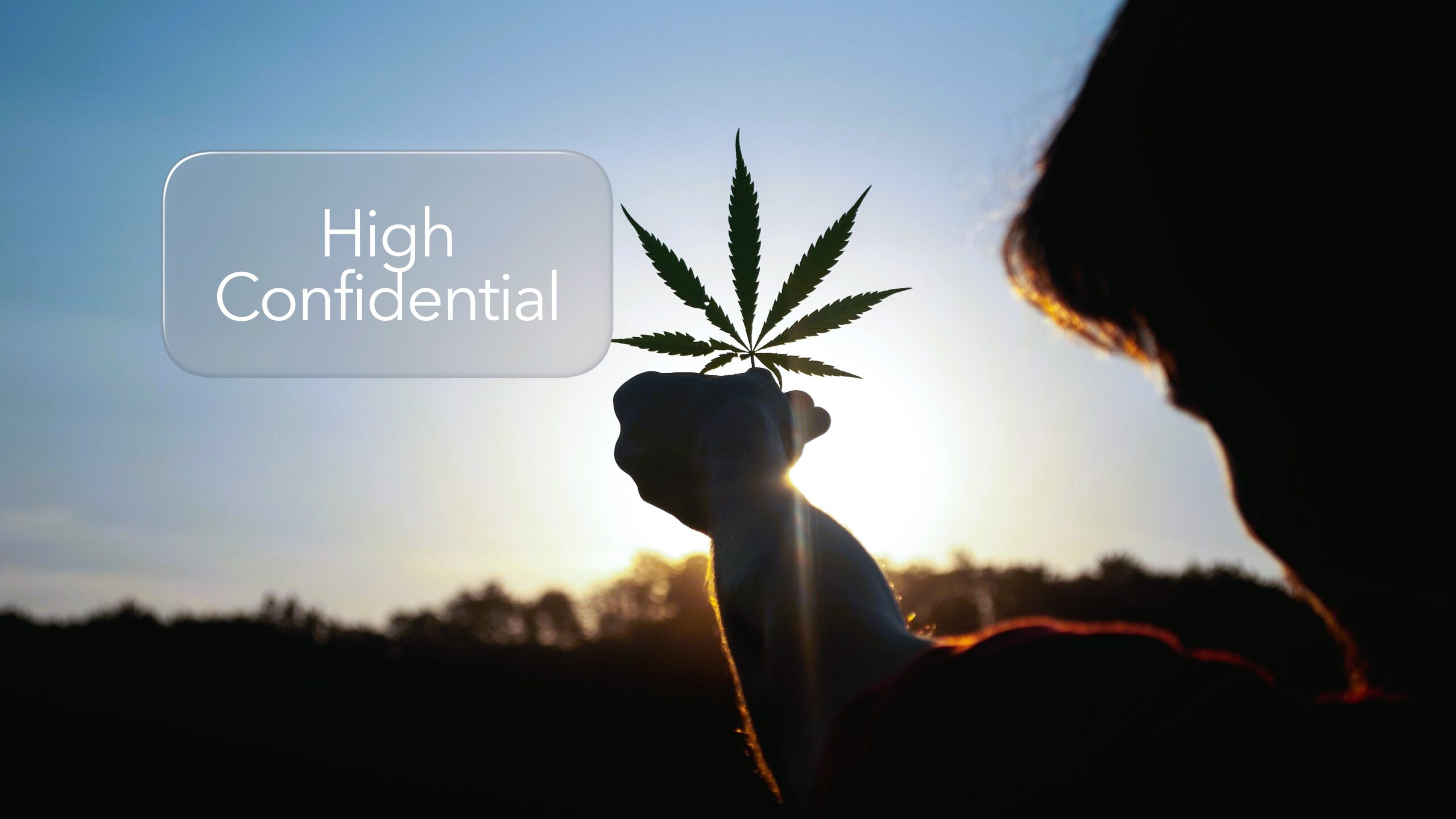high-confidential-va-ofera-o-solutie-pentru-a-renunta-la-droguri-sau-tigari.jpg