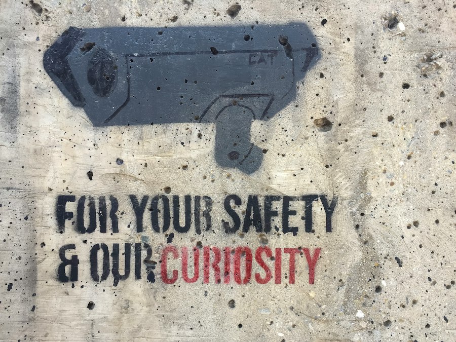 curiosity